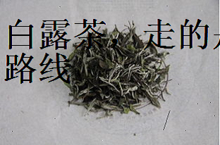 白露茶走的是内涵路线