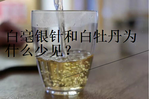 白牡丹的花果香