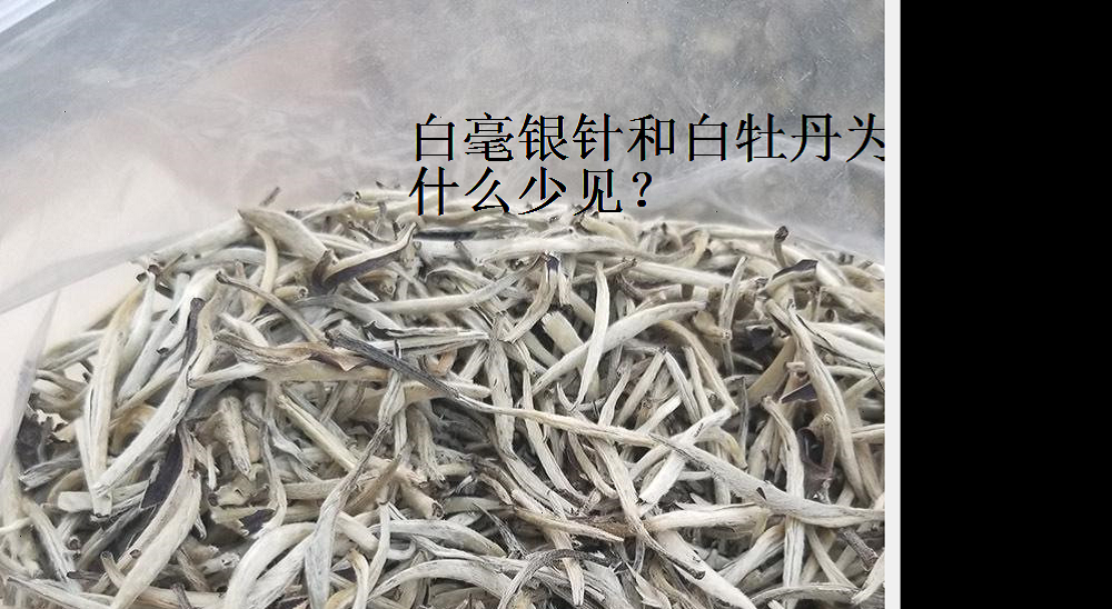 白牡丹茶是中国著名的历史名茶