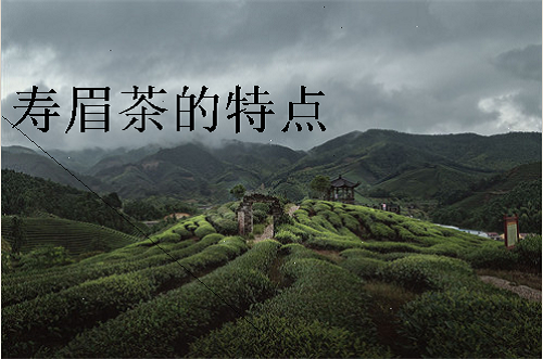 寿眉茶的特点