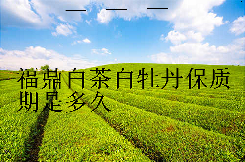 福鼎白茶茶饼保质期一般多久