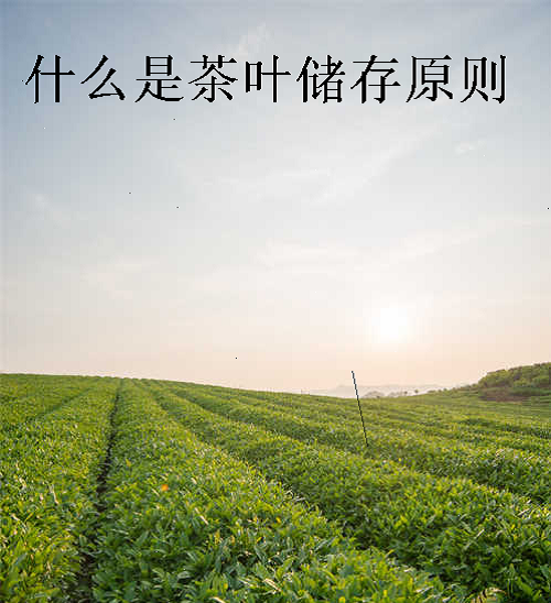 什么是茶叶储存原则