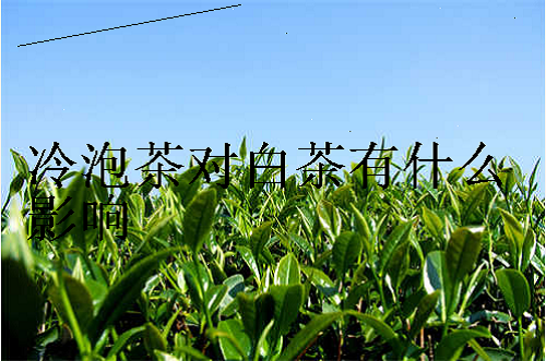 泡茶白茶的四种优缺点