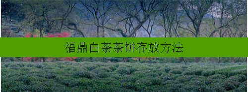 福鼎白茶茶饼存放方法