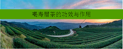 喝寿眉茶的功效与作用