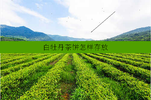 白牡丹茶饼怎样存放