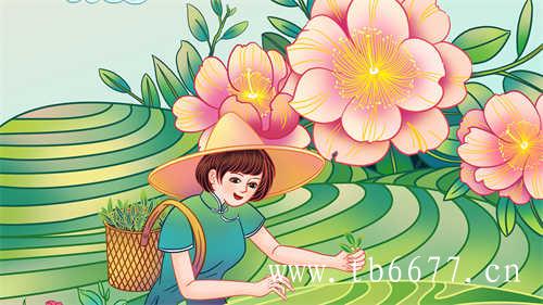 女孩喝白茶有哪些好处