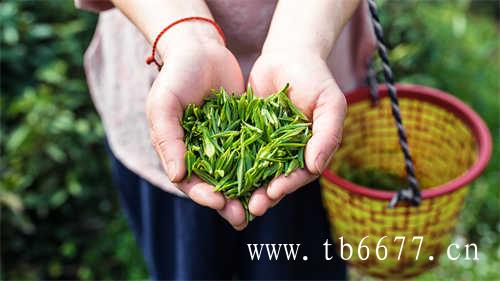 中国最顶级的茶叶你知道几种