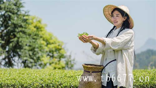 为什么中国人爱喝绿茶