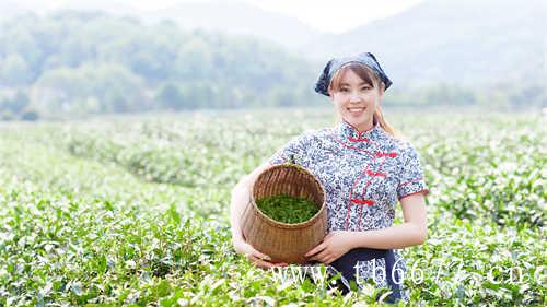 乌龙茶有哪些优缺点