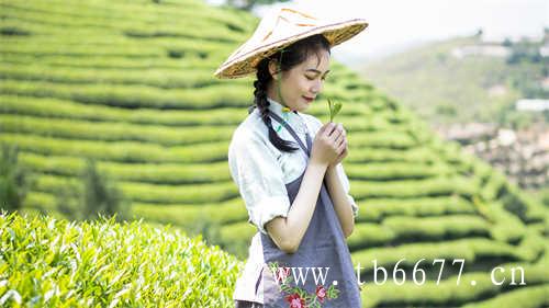 饮茶文化之中国是茶的故乡