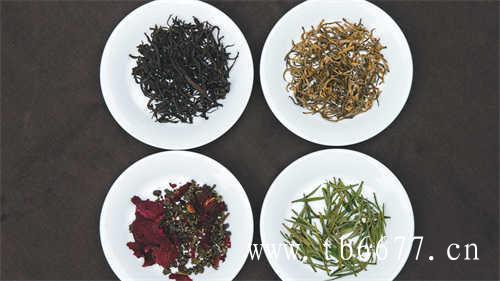 福鼎这些茶山茶景你去过几个