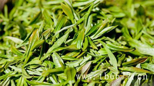 嘉义两岸茶王赛征集茶样啦