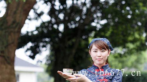 安吉城投白茶产业集团有限公司