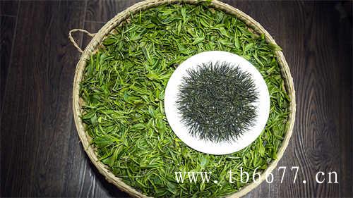 鼎白北京国贸体验馆宣传茶文化